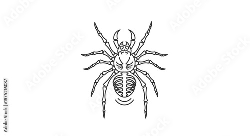 Scary Spider Skeleton Outline Illustration, Halloween Spooky Insect Graphic