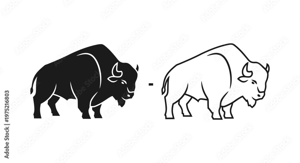 Fototapeta premium Bison vs Buffalo: Key Differences Explained Vector