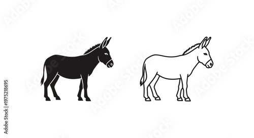 Donkey Breeds Comparison Guide Vector
