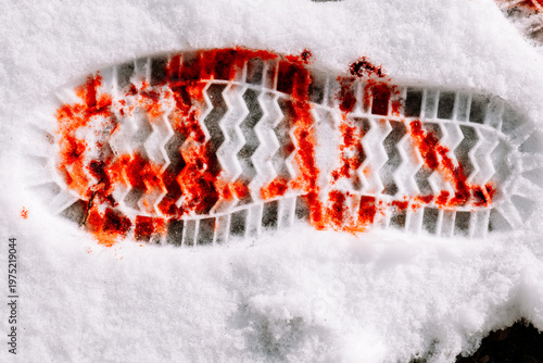 Foto bloody footprint shoe in snow