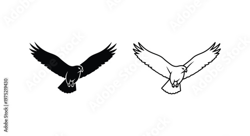 Eagle Symbolism: Black and White Flying Eagles Design Vector