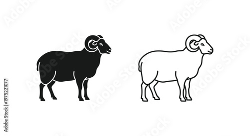 Ram vs Ewe Sheep: Key Differences Explained Vector