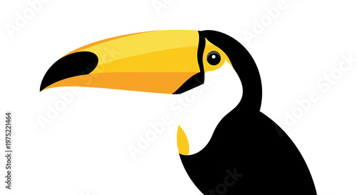 Toucan Bird Head Closeup Illustration.