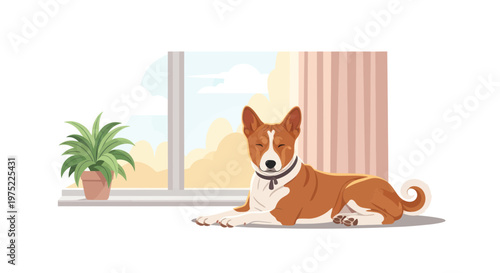 Basenji Dog Relaxing Indoors Near Window and Potted Plant
