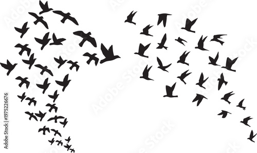 Silhouette Flock Formation: Capturing a multitude of birds, elegantly gliding in formation against the sky, symbolizing freedom and migration.png
