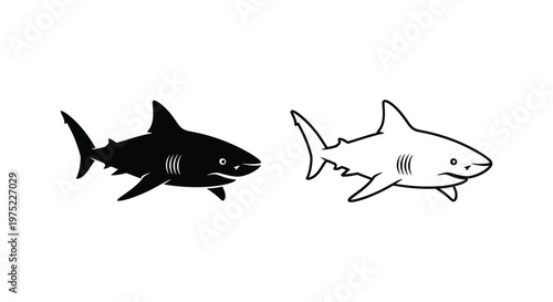 Great White Shark Vector Designs & Illustrations Vector