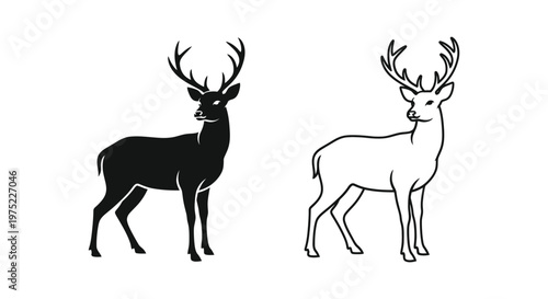 Deer Antlers Comparison Guide: Male vs Female Deer Vector