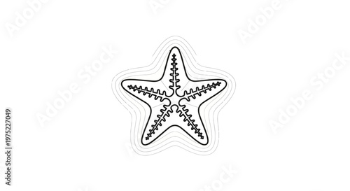 Starfish Outline Drawing, Marine Life Icon, Sea Star Vector Art