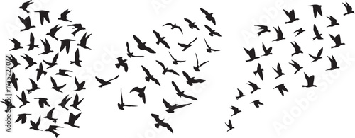 Soaring silhouettes: A collective of birds gracefully traverses the sky, their dark forms contrasting against the expanse. Each bird meticulously flies.png