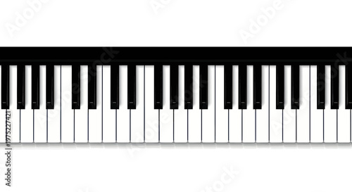 Black and White Piano Keyboard Close-up