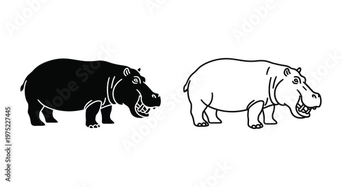 Hippopotamus Types: Black vs White Hippo Guide Vector