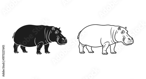 Hippopotamus Types: Black vs White Hippo Guide Vector
