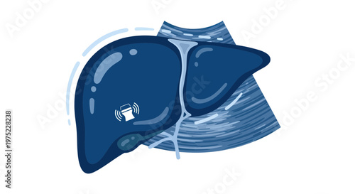 Human Liver Ultrasound Scan with Medical Device Icon