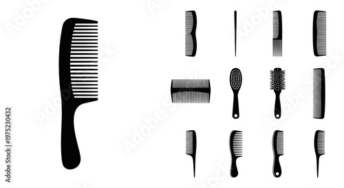 Collection of Black Hair Combs and Brushes Isolated on White Background