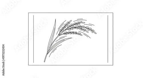 Minimalist line art drawing of a single stalk of ripe rice plant, isolated on white background