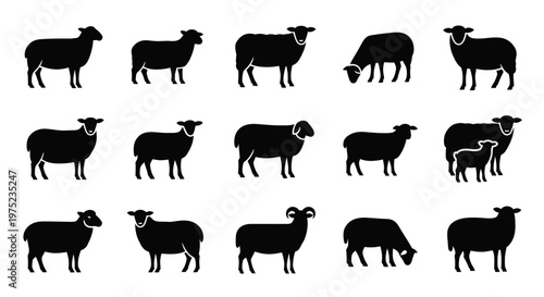Sheep Silhouette Collection: Various Poses and Breeds