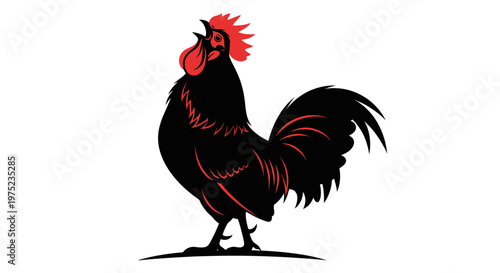 Black Rooster Crowing Loudly with Red Comb, Silhouette Vector