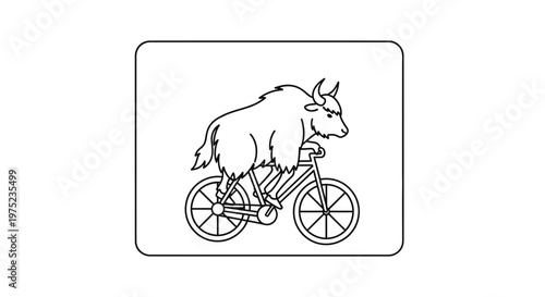 Funny yak riding a bicycle, cartoon style, isolated on white background