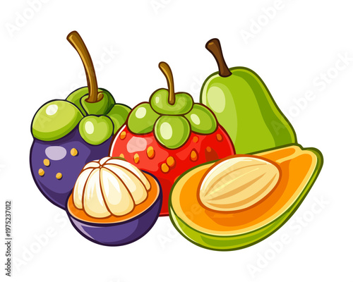 Mixed tropical fruits including mangosteen orange and pomegranate for exotic juice blends and healthy organic vitamin source - Vector Illustration