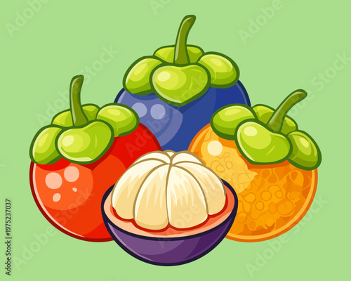 Group of mangosteen fruits showing purple peel and white flesh for queen of fruits tropical delight experience - Vector Illustration