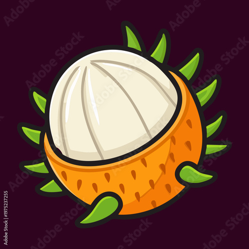 Exotic spiked fruit with white flesh on dark background for tropical mystery and healthy organic snack art - Vector Illustration
