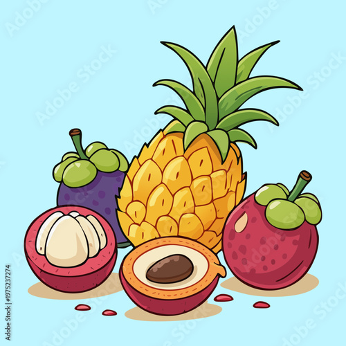 Pineapple and mangosteen collection for exotic fruit salad and healthy organic vitamin intake for summer wellness theme - Vector Illustration