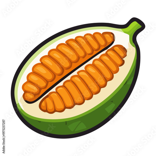 Green exotic fruit half showing orange flesh and seeds for healthy organic tropical snack and wellness diet - Vector Illustration
