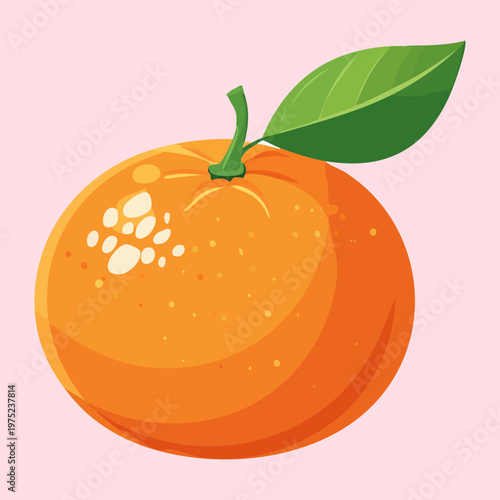 Fresh orange for healthy organic vitamin C rich snack and summer citrus fruit nutrition for daily wellness ideas - Vector Illustration