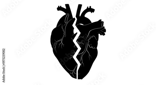 Broken anatomical human heart silhouette on white background