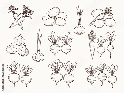 Pickled Cucumbers Jar with Herbs Hand Drawn Food Illustration