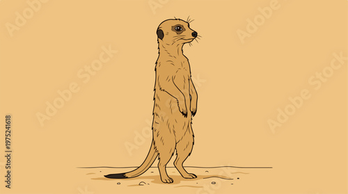 Meerkat standing on hind legs.