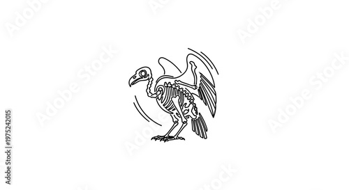 Vulture Skeleton Line Art Icon
