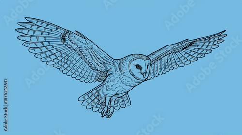 Owl flying in clear sky.