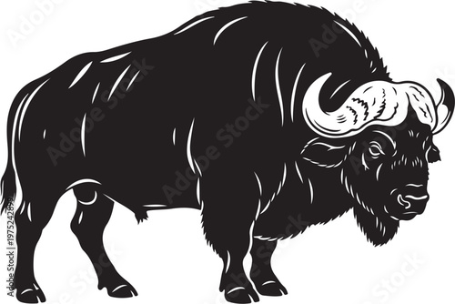 Black and white illustration of a powerful angry bison