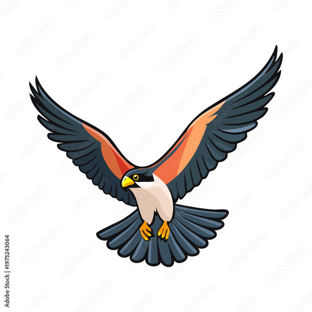 Fototapeta premium majestic falcon flying with its blue and white wings spread wide and head turned sideways looking for prey during a hunting mission