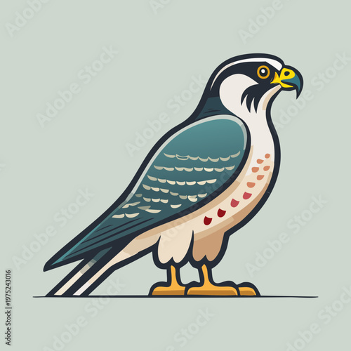 elegant blue and white falcon standing on a flat surface with a sharp gaze and detailed feather patterns representing speed and hunting