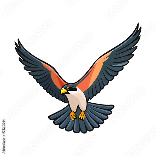 majestic falcon flying with its blue and white wings spread wide and head turned sideways looking for prey during a hunting mission