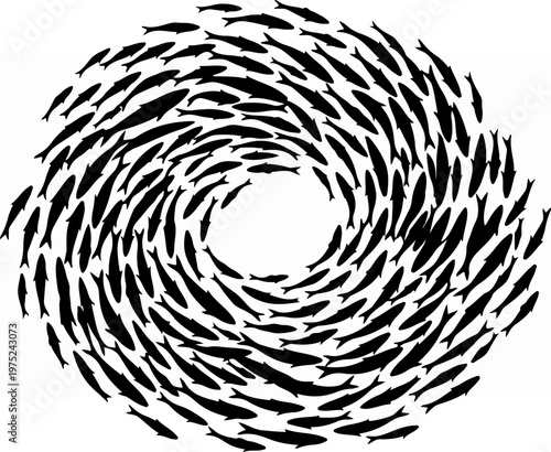 School of Fish Swimming Circle.