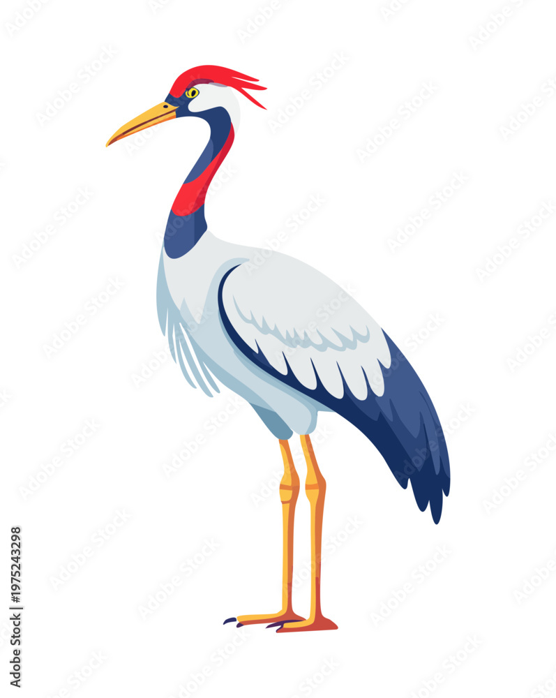 Fototapeta premium tall crane with white and blue feathers and a red crest standing on its long legs looking forward with elegance today