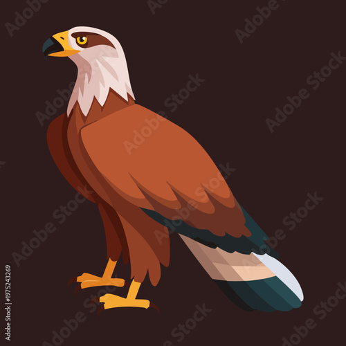 majestic eagle with brown and orange feathers sitting on a flat surface looking forward with a sharp beak and intense eyes
