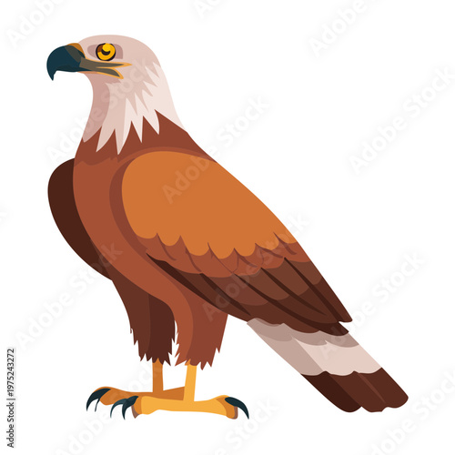 brown eagle with white head and yellow beak standing tall and looking sideways with a powerful gaze and sharp predatory talons