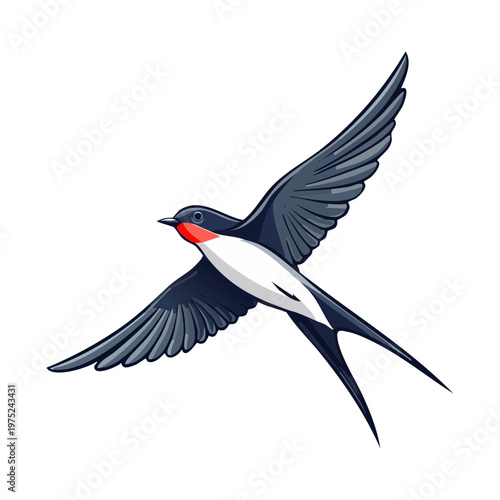 blue and red swallow flying through the air with its wings spread wide and head turned sideways looking for insects today