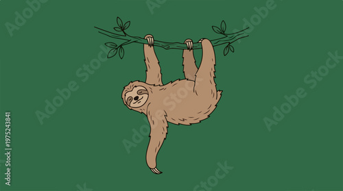Sloth Hanging from Branch Tree.