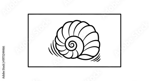 Nautilus Shell Spiral Swirl Abstract Line Art Illustration
