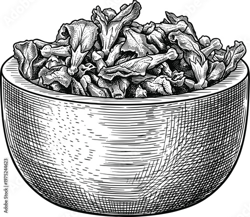 Woodcut illustration of a bowl of chanterelle mushrooms on transparent background.