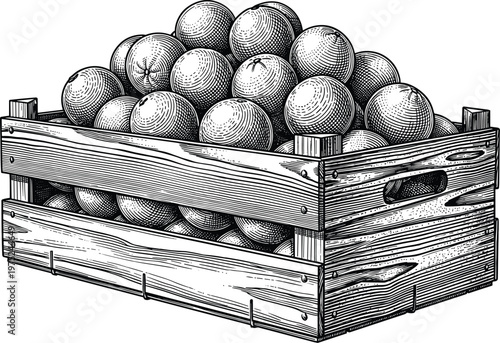 Wooden crate full of fresh oranges sketch drawing style.