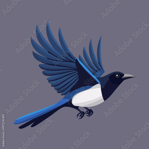 Fotografía Dark blue bird flying with wings fully extended and long tail in a professional