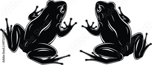 Detailed frog silhouette vector illustration featuring two mirrored amphibians with glossy style, wildlife animal design isolated on white background