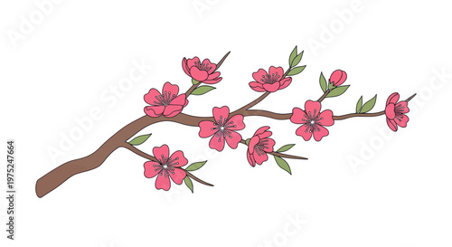 Spring Cherry Blossom Branch with Pink Flowers and Green Leaves