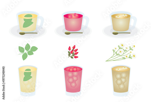 ミント、ローズヒップ、カモミールのホットティー、アイスティーと植物のセット